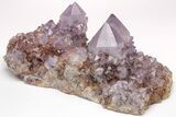 Cactus Quartz (Amethyst) Crystal Cluster - Huge Crystals! #206119-3